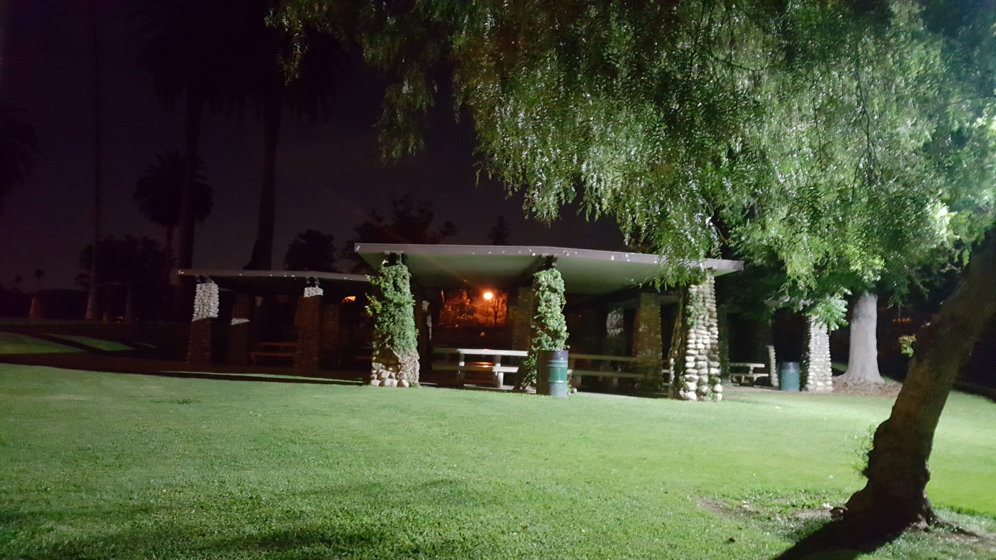 Building Photo - 305 N Palm Ave