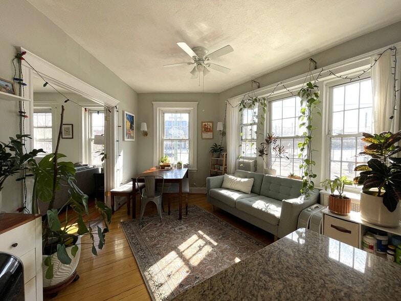 BIG windows - 374 Chestnut Hill Ave