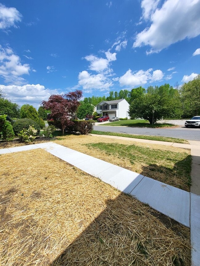 Building Photo - HUGE Yard and New Kitchen!