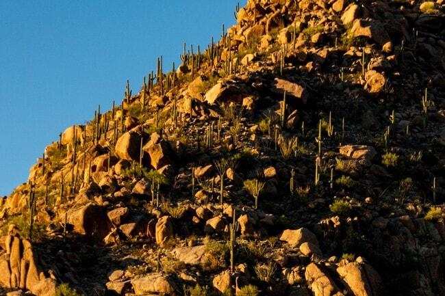 Building Photo - 24562 N 111th Pl