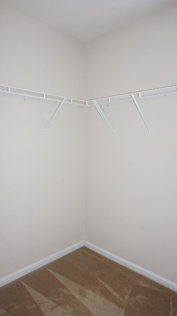 Building Photo - 104 Nesting Ln