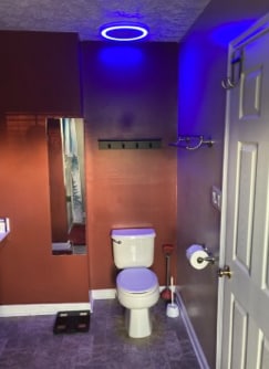 Building Photo - 3203 Trellis Ln