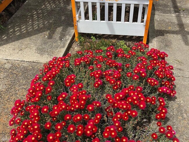 Building Photo - 5058 Garden Way