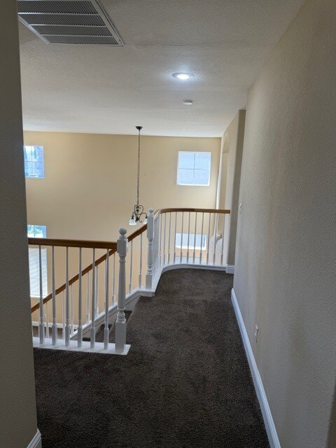 Building Photo - 2829 Hawkins Ln