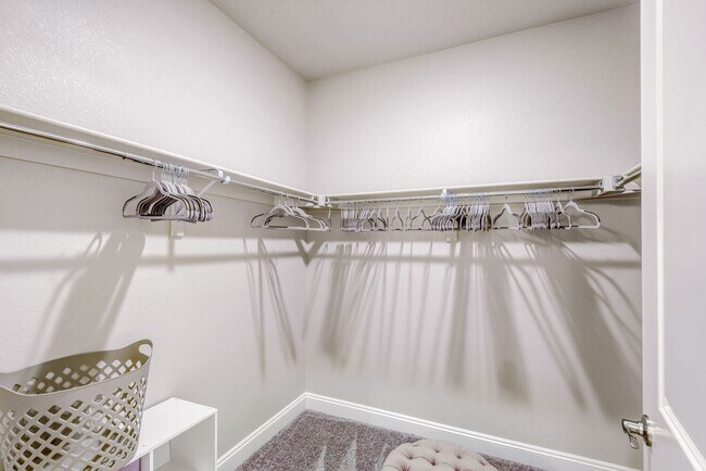 Building Photo - Contemporary Parker Condo | Trails & City Access