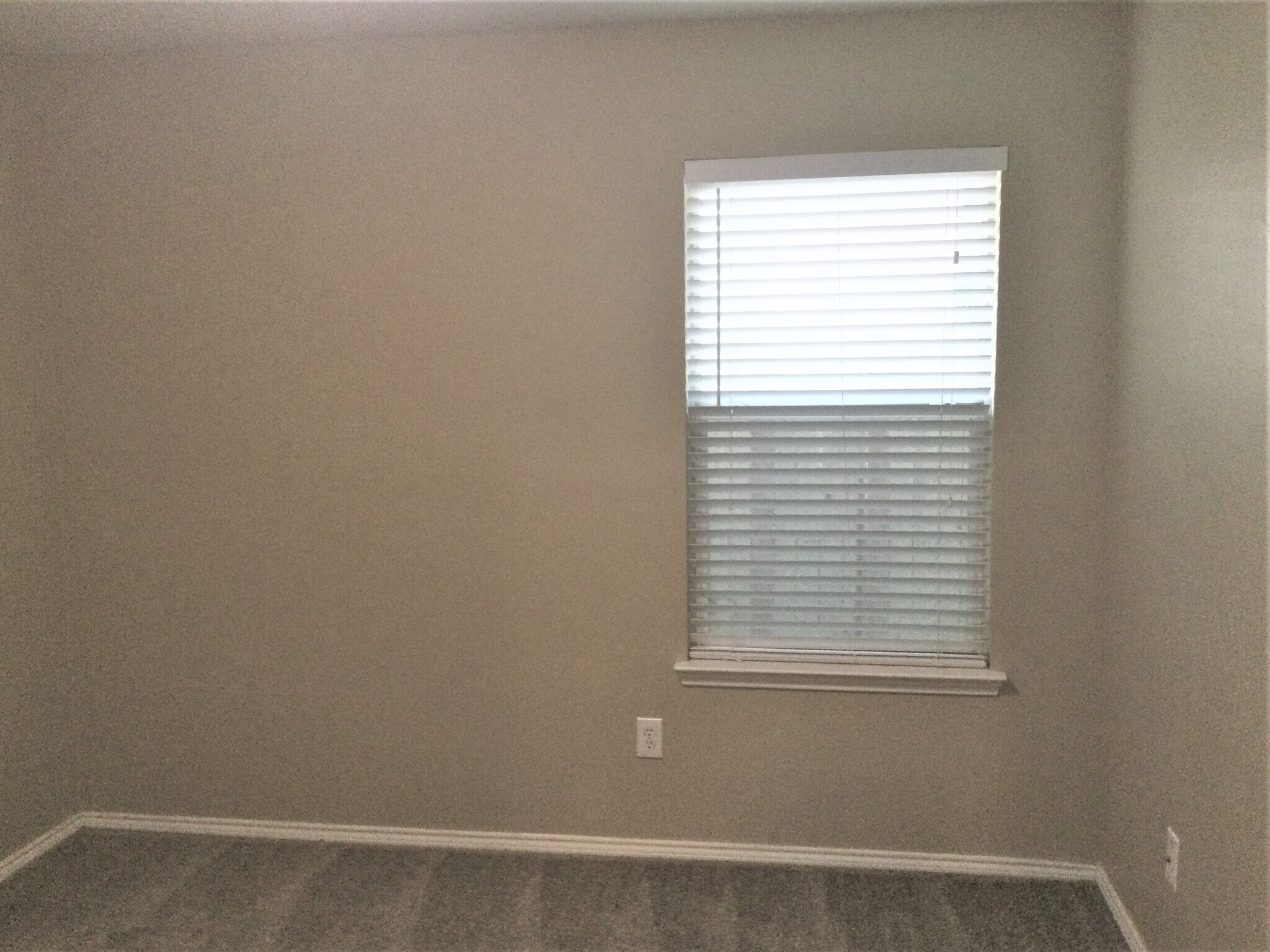 Building Photo - 923 Plumeria Dr