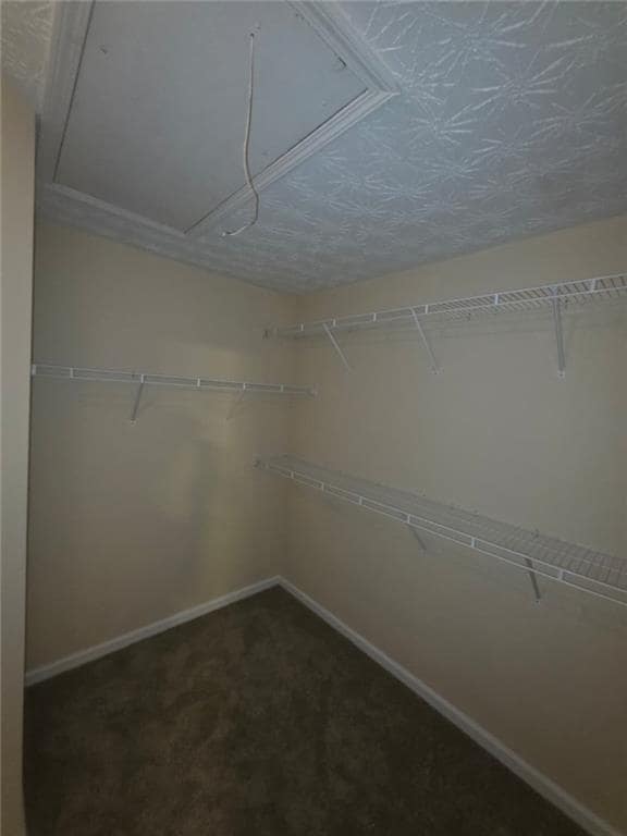 Building Photo - 3856 Shenfield Dr