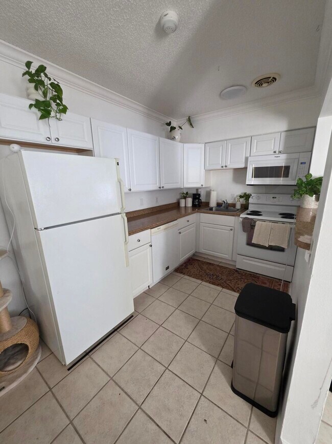 Building Photo - 217 Butler St