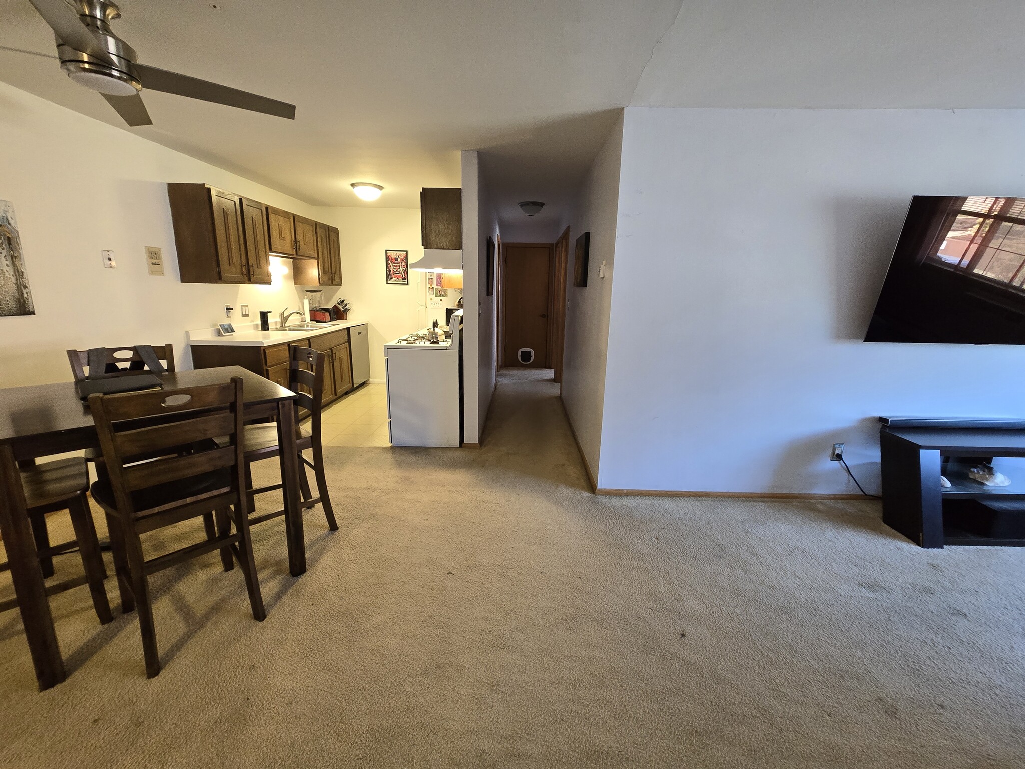 Bedroom/Bathroom Hallway - 255 Elmwood Ave