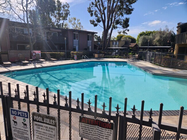 Pool 1 - 23300 Marigold Ave