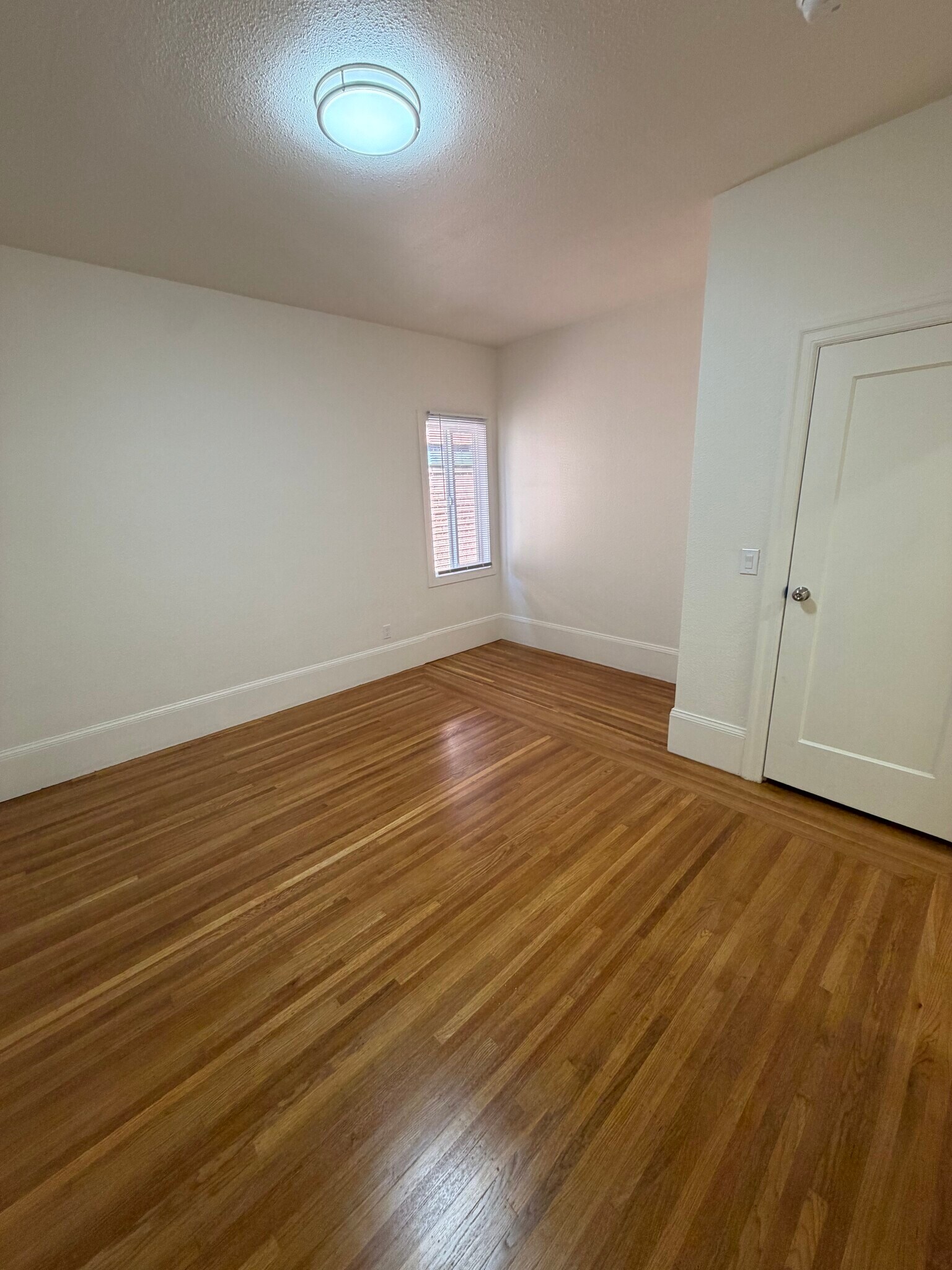 Building Photo - 495 Elwood Ave