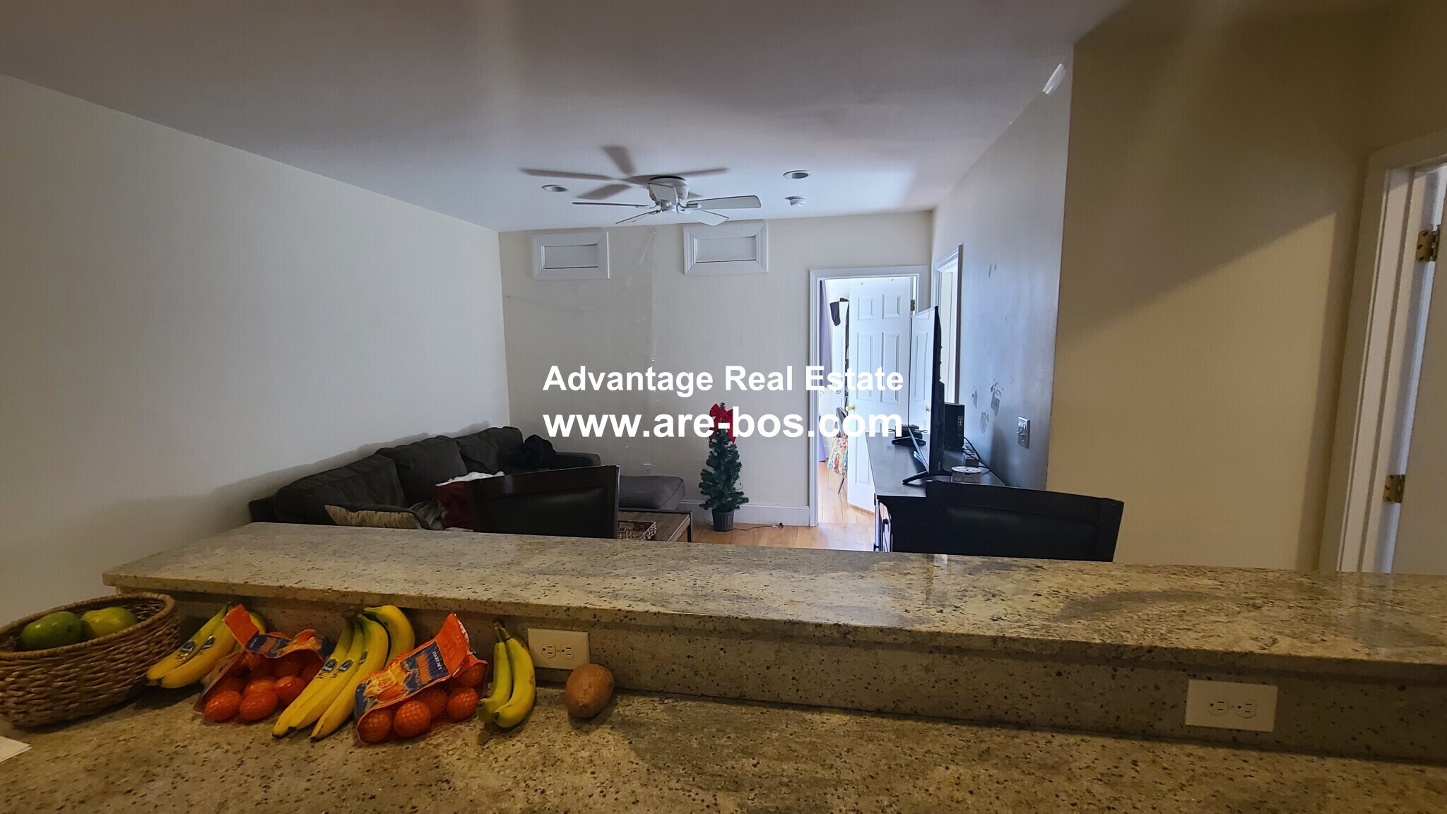 Building Photo - 66 Egmont St