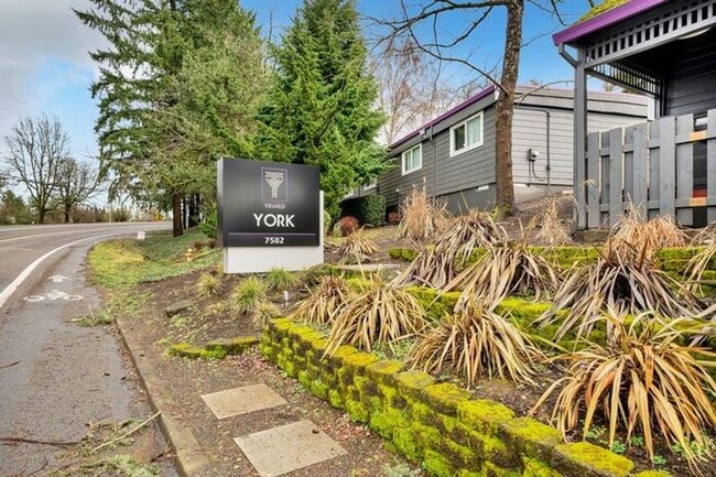 Building Photo - Spacious 2x1 unit with 1st month free! Only $1395