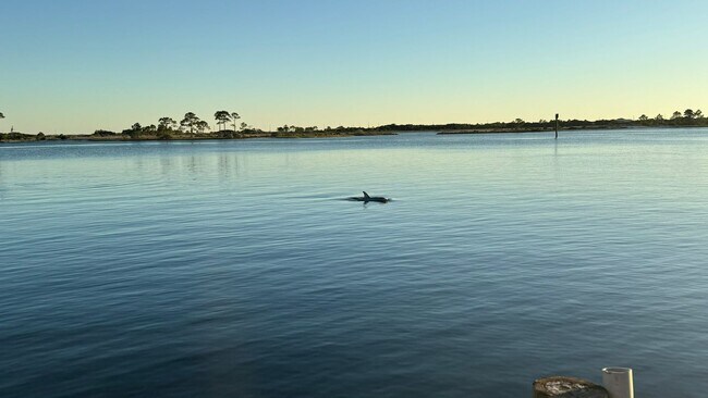 Building Photo - 209 Miracle Strip Pkwy