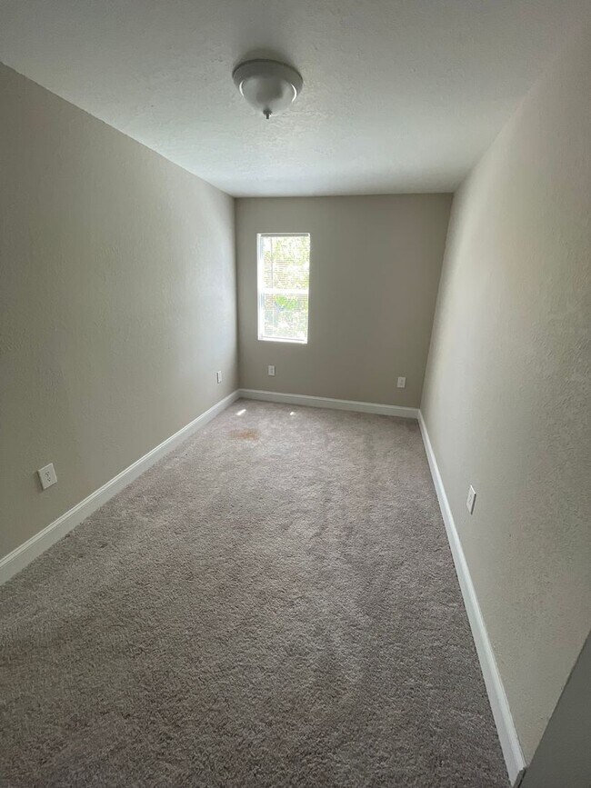 Building Photo - Spacious Clearwater Home with Modern Comforts with Private Backyard! 2bed | 1Bed