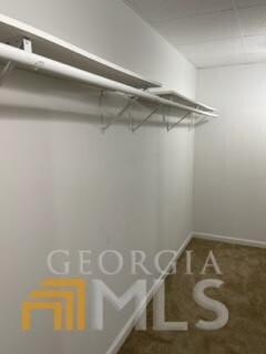 Building Photo - 509 Ashford Ct