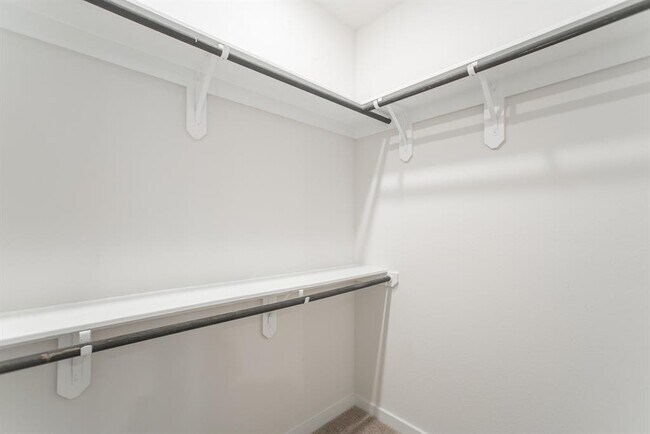 Building Photo - 7397 Mount Greylock Lp