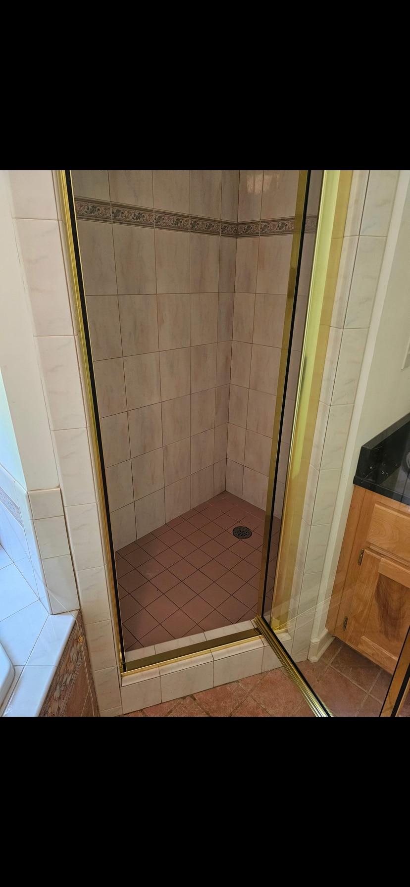Master Bath - Shower - 4924 Lippingham Dr