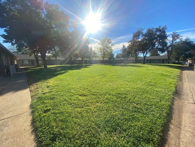 Building Photo - 3629 Bechelli Lane - 37