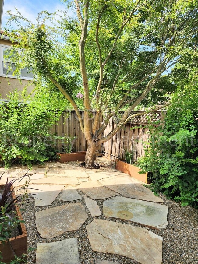 Building Photo - Stunning Newly Remodeled 4 bed / 2.5 bath ...
