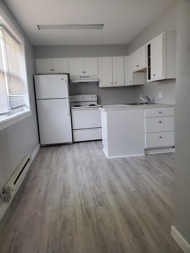 Studio - Remodeled Kitchen Living - 502 W Market St