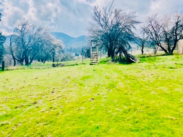 Backyard - 1209 Ashland Mine Rd