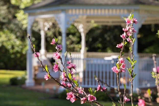 Building Photo - 10 Meadow Ln