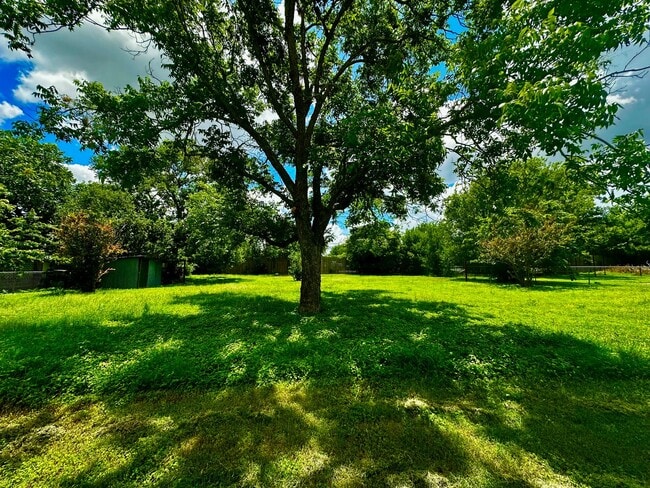 Building Photo - 3/1 with Spacious Yard