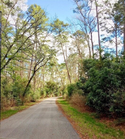 Building Photo - 553 Timber Voyage Ct