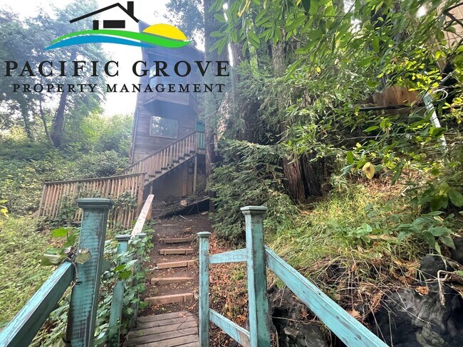 Building Photo - Cabin on Palo Colorado