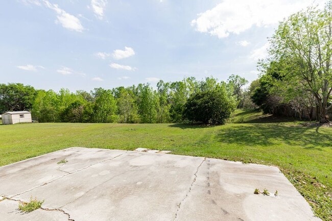 Building Photo - 2816 Blush Dr