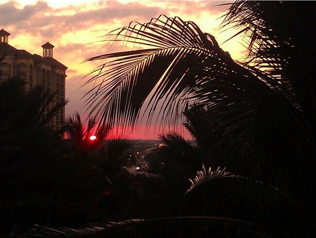 Building Photo - 801 S Olive Ave