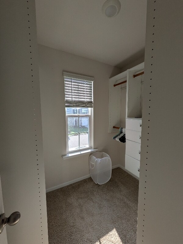 Building Photo - 1505 Gracie Ln