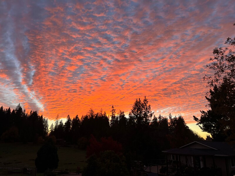 Building Photo - 2804 NW 199th St