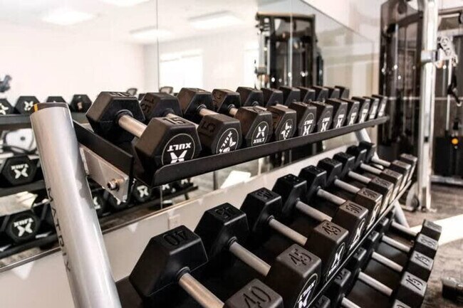 Building Photo - 8506 Westfield Blvd