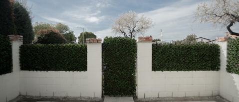 Building Photo - 851 Ivywood Dr