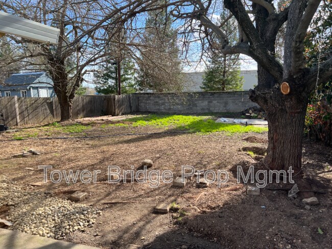 Building Photo - 1328 School St