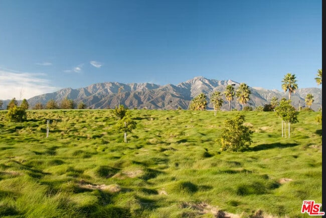 Building Photo - 77709 Tradition Dr