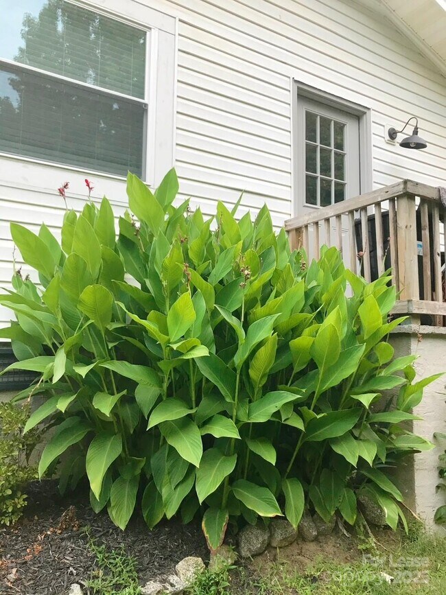 Building Photo - 7471 Lakehaven Dr