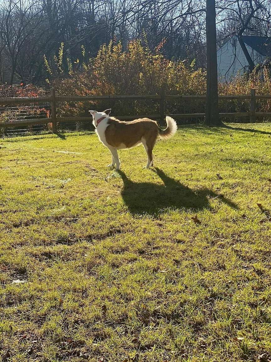 Building Photo - 5463 Watercress Pl