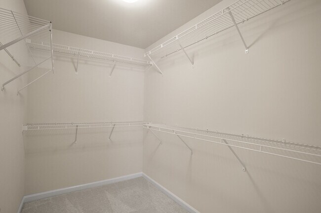 Building Photo - 3411 Adler Trl