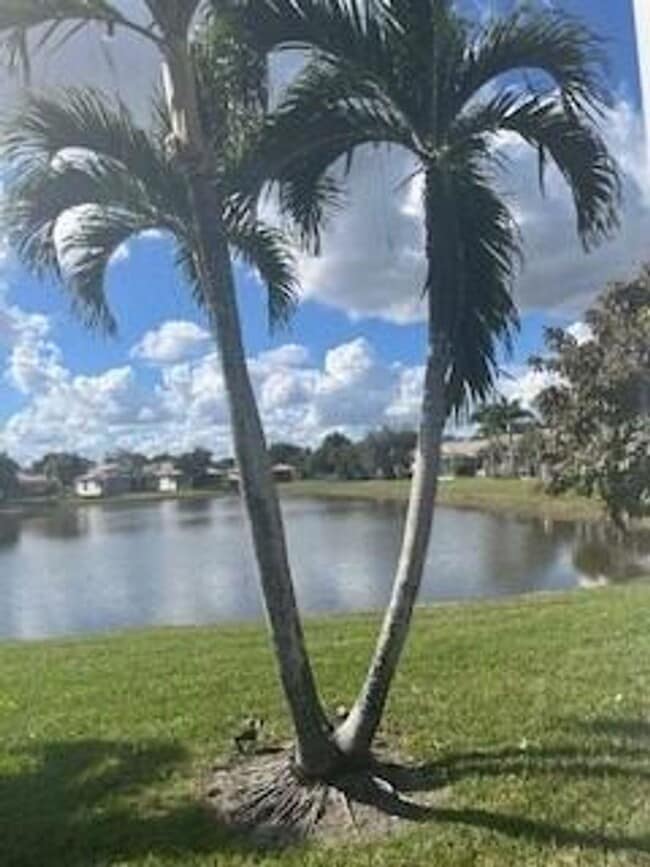 Building Photo - 2641 Clipper Cir