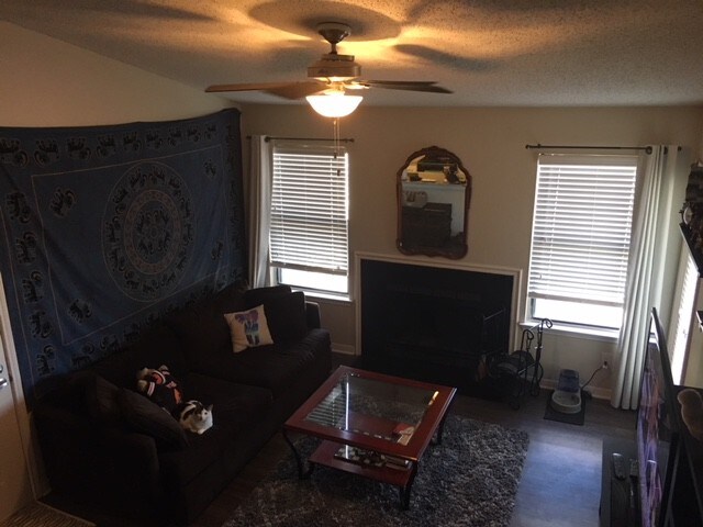 Living Area - 1682 Merganser Run Dr