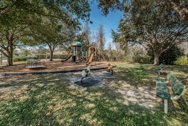 Building Photo - Pool Home in Trinity!