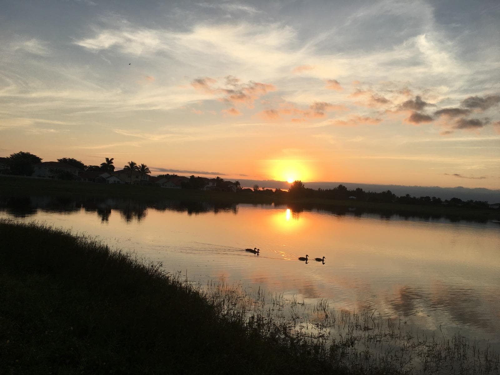 Building Photo - 10910 Lakemore Ln