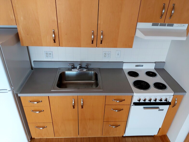 Living room - 3100 N Lake Shore Dr