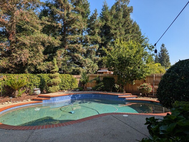 Building Photo - Nice and modern home with upgraded amenities, a wonderful floor plan, master suite, nice backyard...