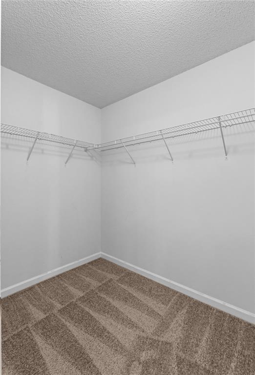 Building Photo - 4124 Alveston Dr