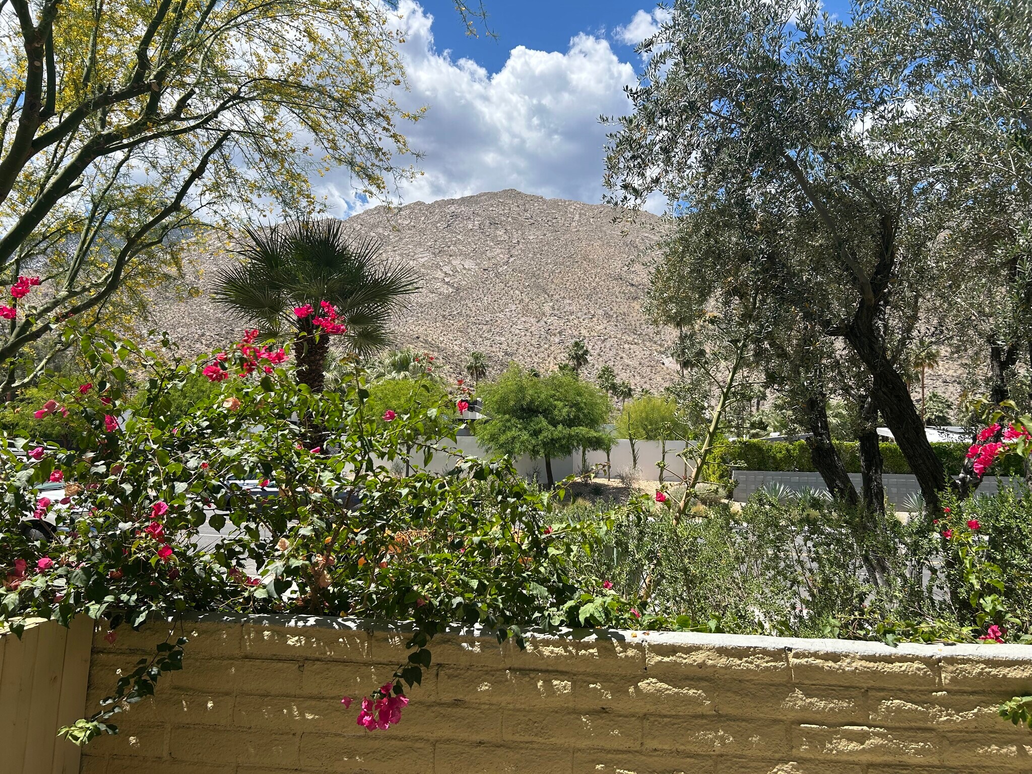 Private Yard Stunning San Jacinto Mountain VIews - 1950 S Palm Canyon Dr