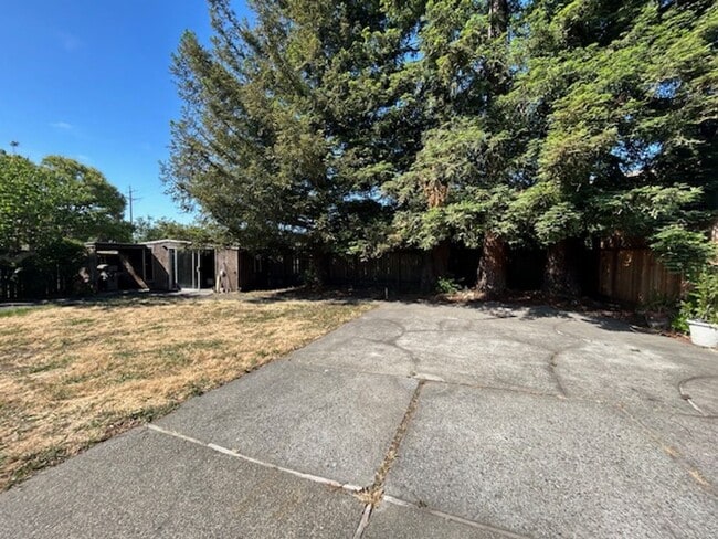 Building Photo - Charming 4 Bedroom, 2 Bath Home in Novato ...